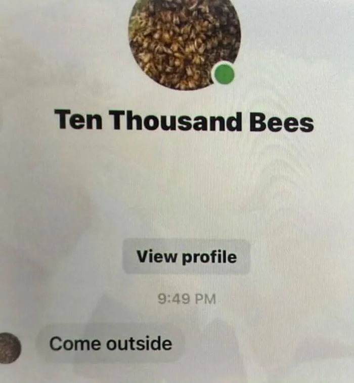 Thousands Of People Love This Page’s Random Sense Of Humor, Here Are 67 Of Its Best Posts