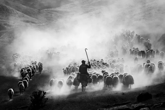 Food In The Field: Dust Journey By Serkan Dogus, United Kingdom