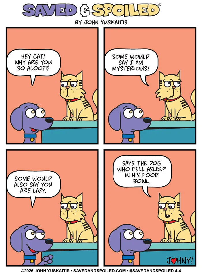 Wilson Asks Serious Cat Questions