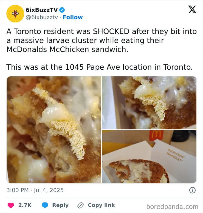 Egg Sandwich Anyone?