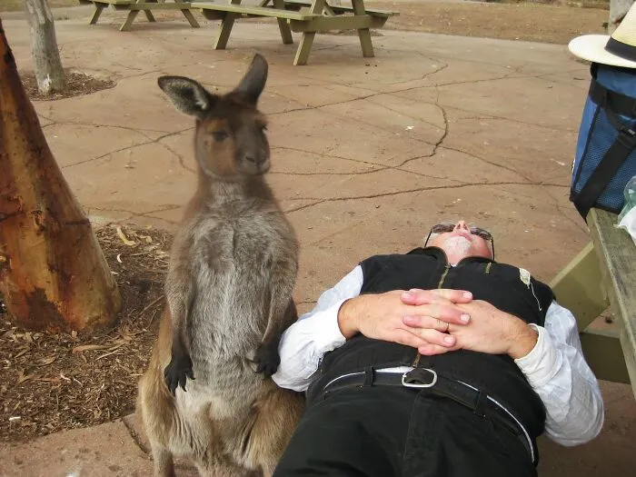 This Is My Father-In-Law. He Fell Asleep Next To A Kangaroo