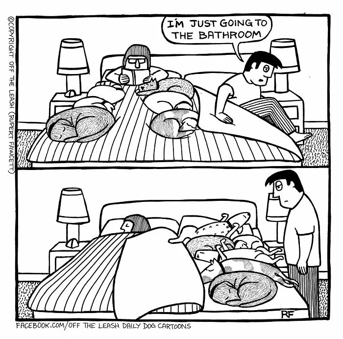 30 New “Off The Leash” Comics That Perfectly Capture Life With Dogs