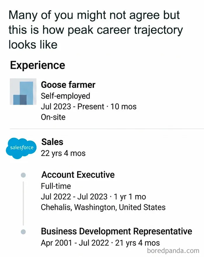 81 Funny Memes That People In Sales May Use To Explain What They Do To Their Families And Friends
