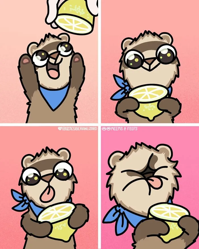 Artist Shares 57 New Comics About Ferrets, Pets, And Everyday Absurdities