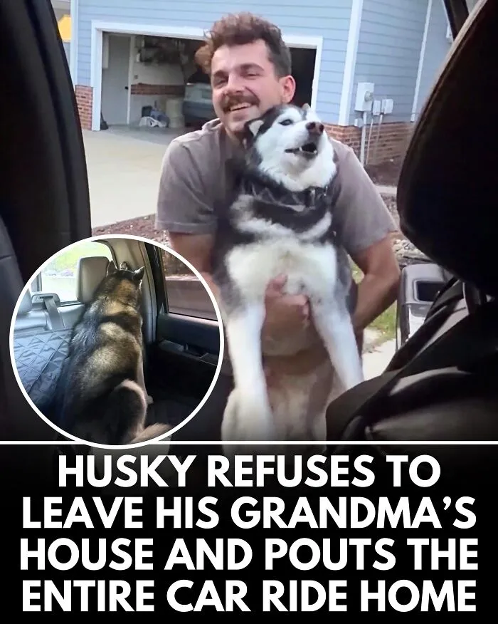 25 Incredible Stories Shared By ‘We Rate Dogs’ That Might Make You Laugh And Cry (New Pics)