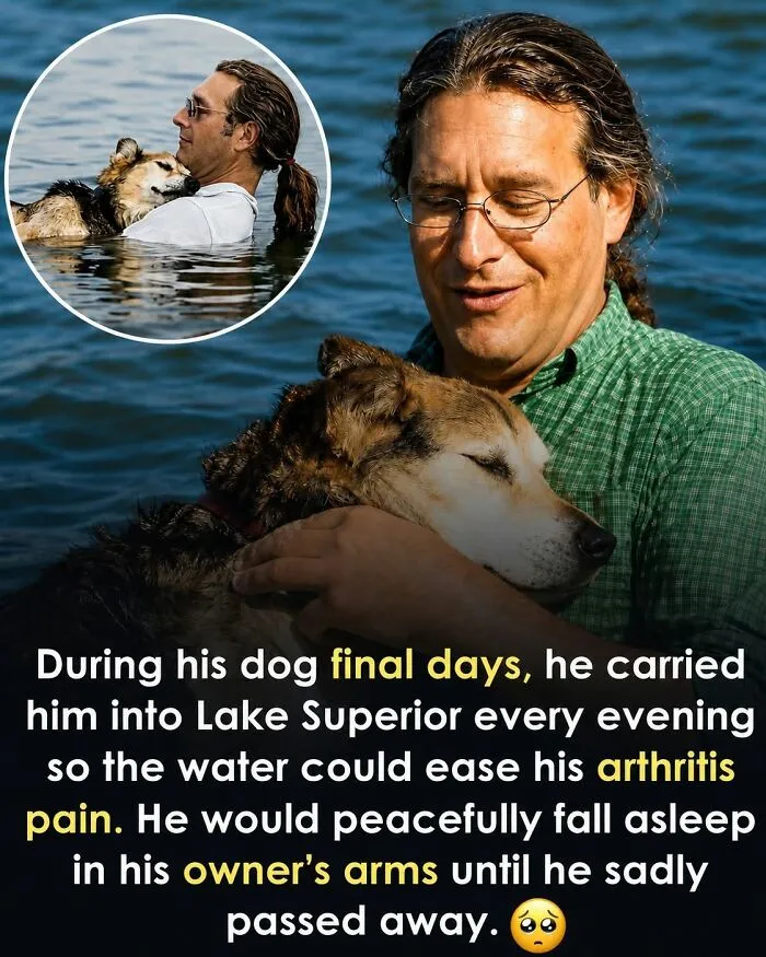 This Page Shared 26 Heartwarming Animal Moments From Around The World (New Pics)
