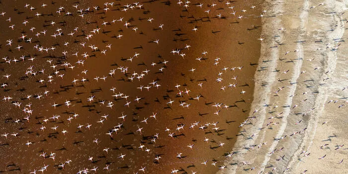 This Photographer Explores Earth’s Hidden Geometry Through Conservation Photography (20 Images)