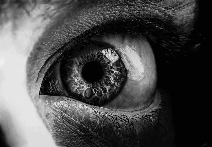 “Eye Marks And Measurements”