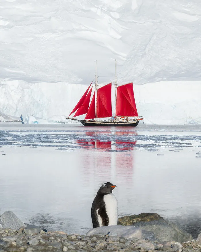 This Photographer Captured 42 Dreamlike Images Of Antarctica