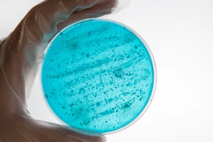 “Farts Of Bacteria”: 37 Human Body Facts That Make Existing Feel A Little More Uncomfortable 