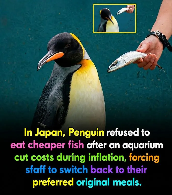 This Page Shared 26 Heartwarming Animal Moments From Around The World (New Pics)