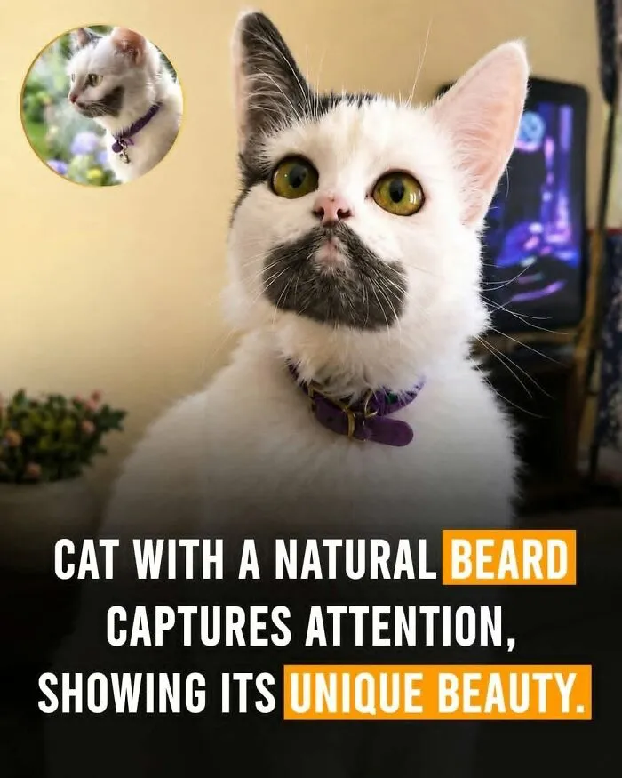 This Page Shared 26 Heartwarming Animal Moments From Around The World (New Pics)