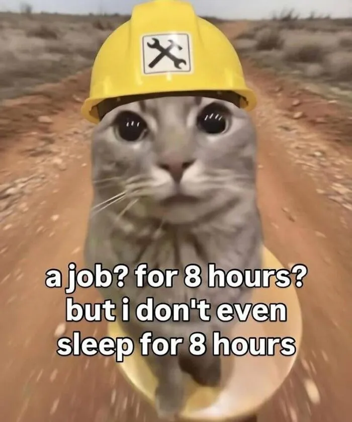 69 Photos That Left The Internet Collectively Confused