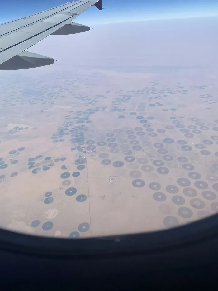 Aerial view from airplane showing circular irrigation fields in agricultural science