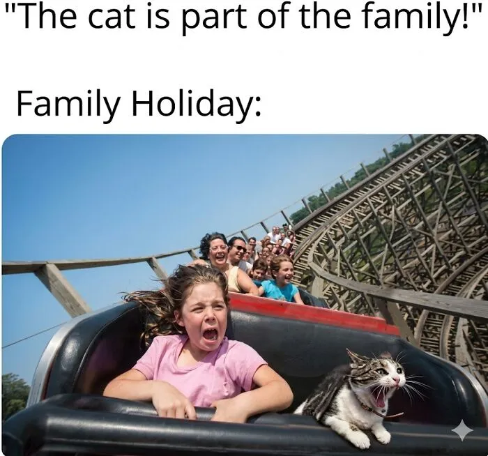 36 Funny Cat Posts From This Page That Perfectly Sum Up Living With Them