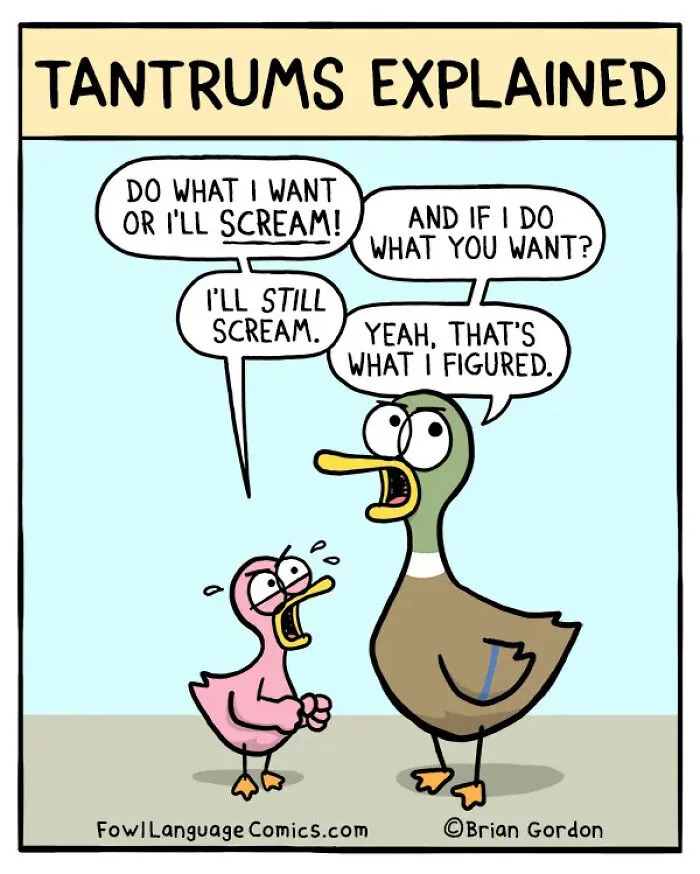 Relatable cartoon showing tantrums explained with a child duck screaming at a parent duck