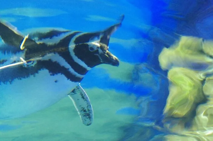 59 People With Unusual Careers Explain What They Do For A Living