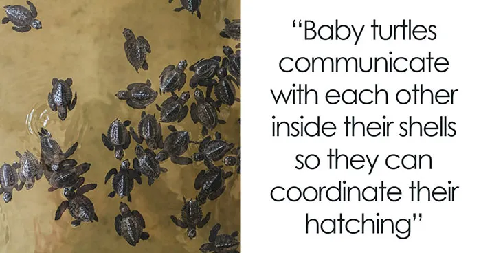 79 Short And Sweet Facts That Might Get You Questioning Everything You Know