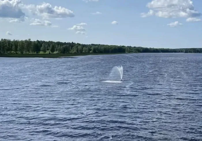 Finland
