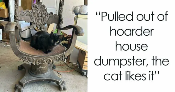 78 Dumpster Diving Finds That Prove That One Person’s Trash Is Another’s Treasure (New Pics)