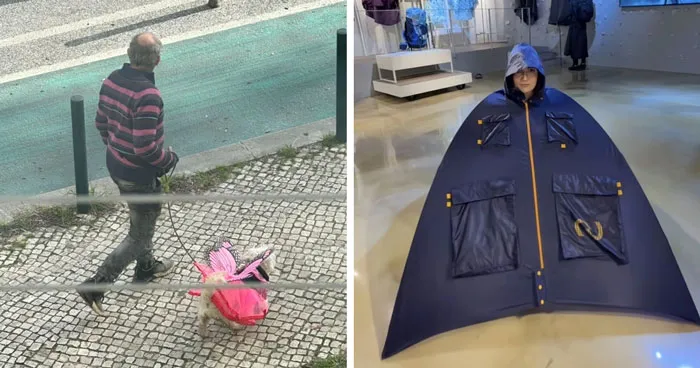 37 Random Photos That Look Completely Made-Up And Senseless, But  Are Quite Amusing Anyway