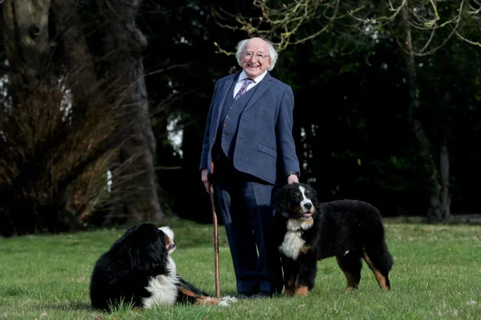 President Michael D. Higgins