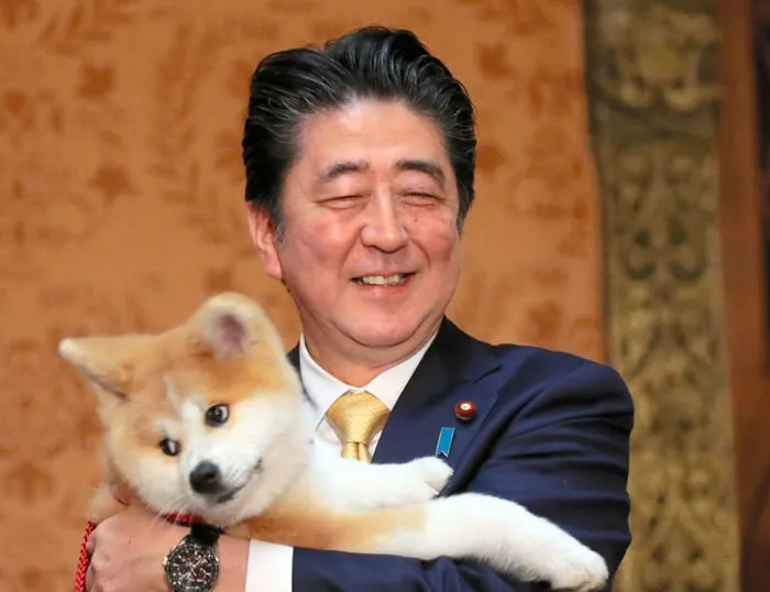 Japanese Prime Minister Shinzo Abe Holds 'Masaru' Akita Inu