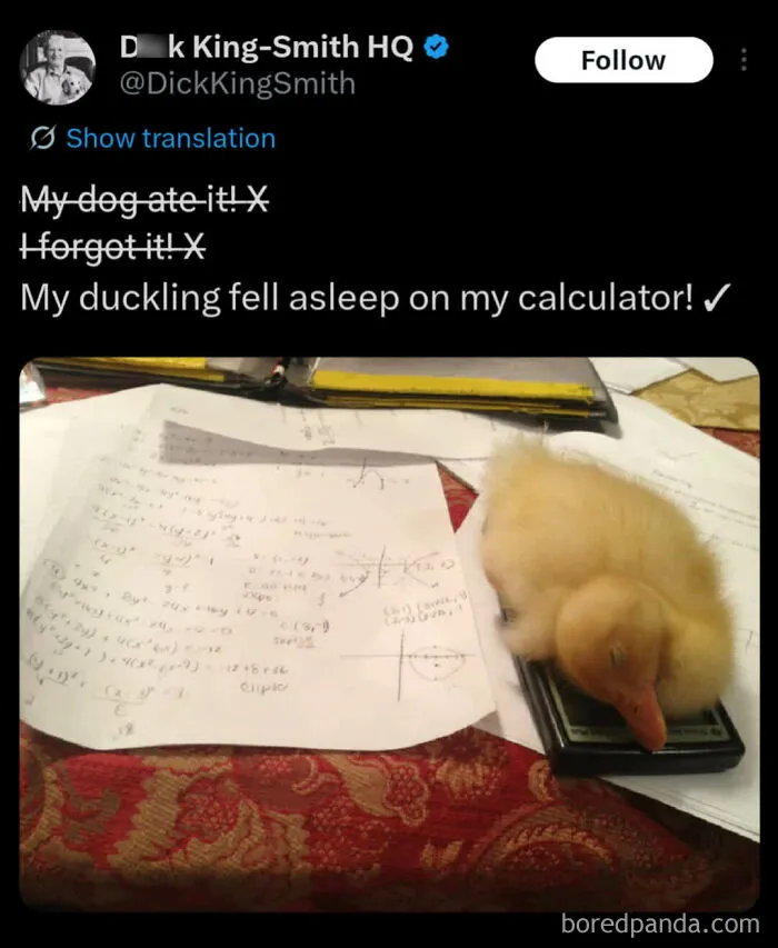 67 Wholesome Internet Finds That Might Restore Your Faith In Humanity (New Pics)