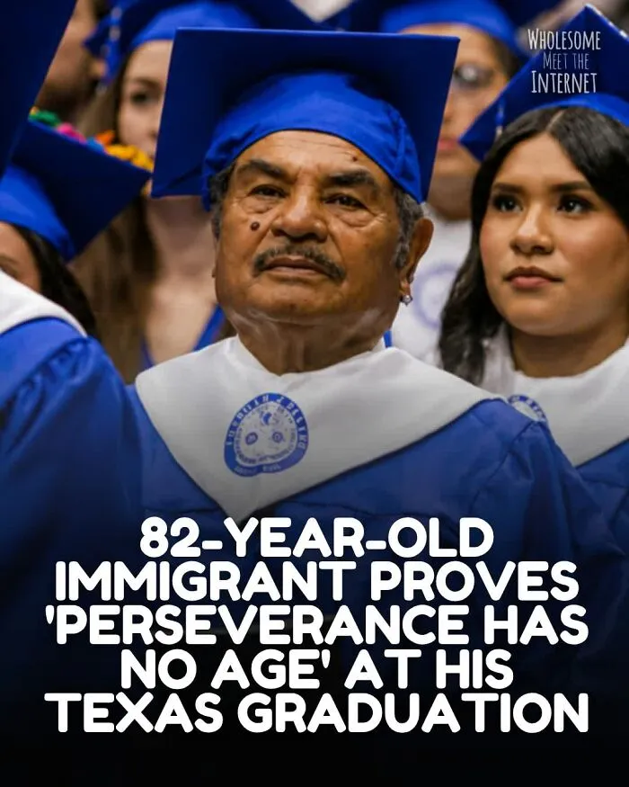 67 Wholesome Internet Finds That Might Restore Your Faith In Humanity (New Pics)