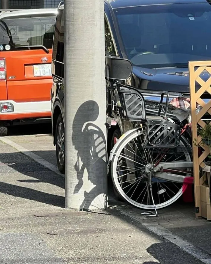 30 Fotos aparentemente normales, pero que «cuando lo veas» vas a alucinar