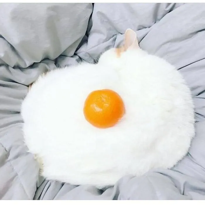 68 Pics That Seem Innocent At First But Then Make You Do A Massive Double-Take
