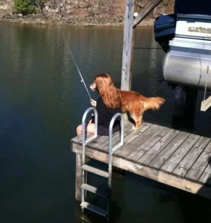 68 Pics That Seem Innocent At First But Then Make You Do A Massive Double-Take