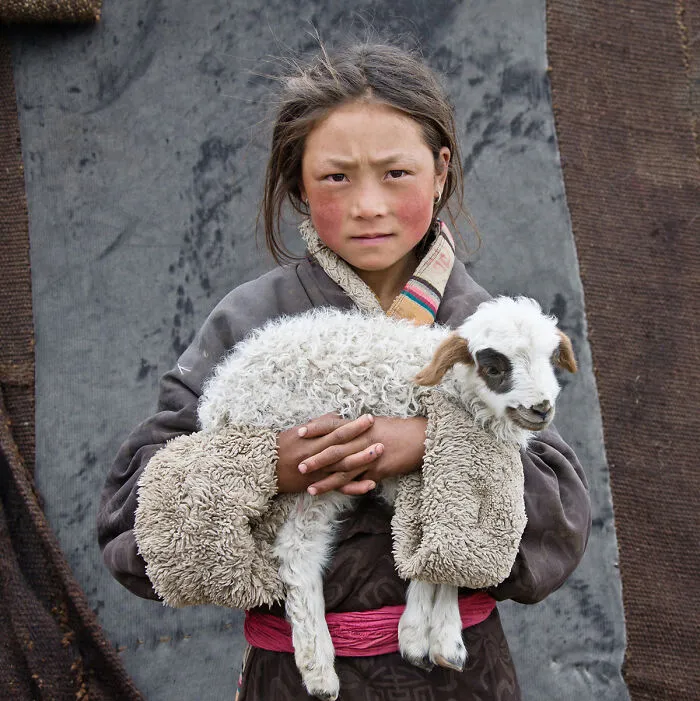 Young Nomad W/ Lamb, Tibet, 2010 By Larry K. Sinder