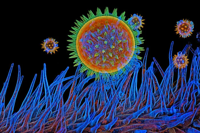 “Mallow Pollen On Stigma” By Igor Siwanowicz