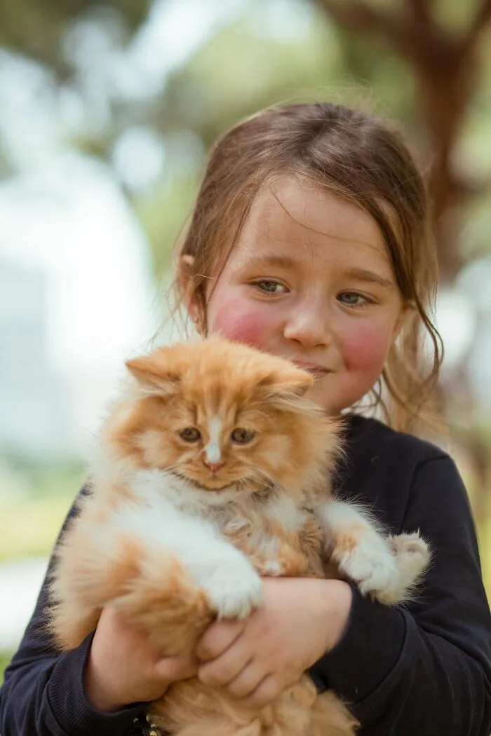 Cats Don't Need Mental Stimulation