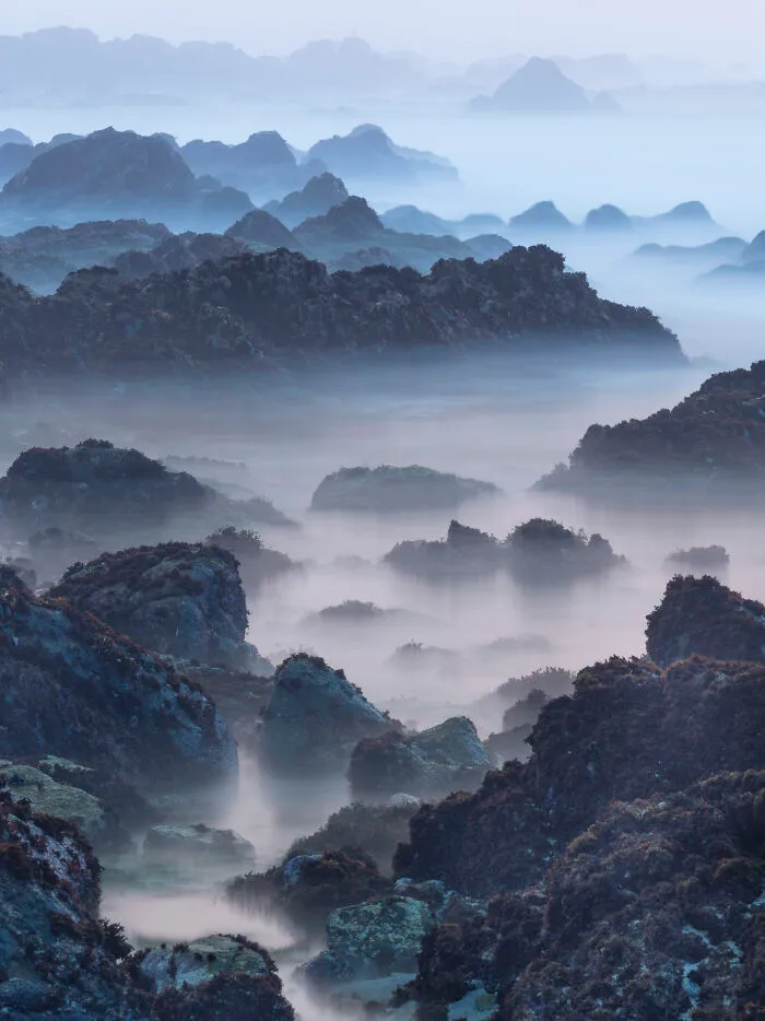 This Photographer Explores Earth’s Hidden Geometry Through Conservation Photography (20 Images)