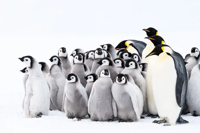 Creche By David Sinclair