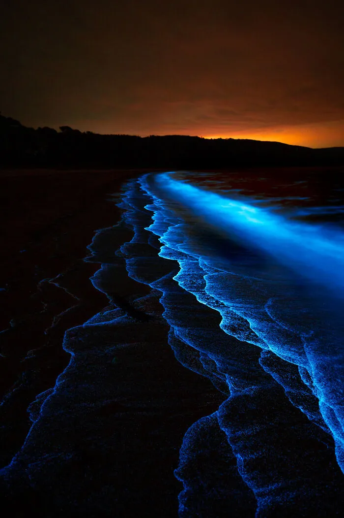 Just Another Bioluminescent Tantrum… By Deni Cupit