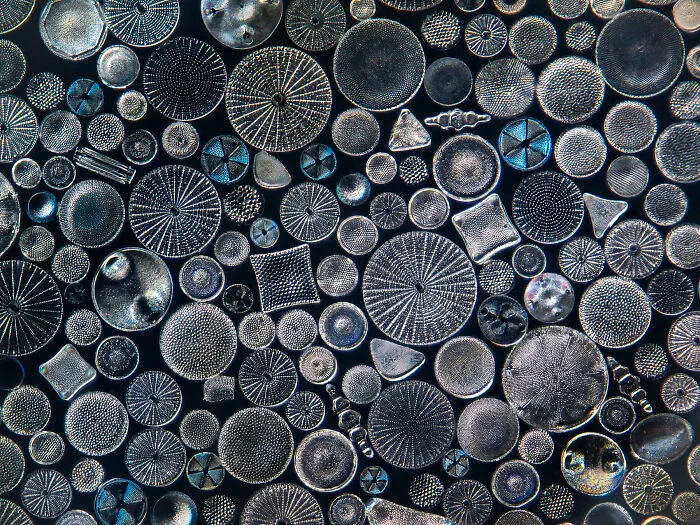 This Photographer Explores Earth’s Hidden Geometry Through Conservation Photography (20 Images)