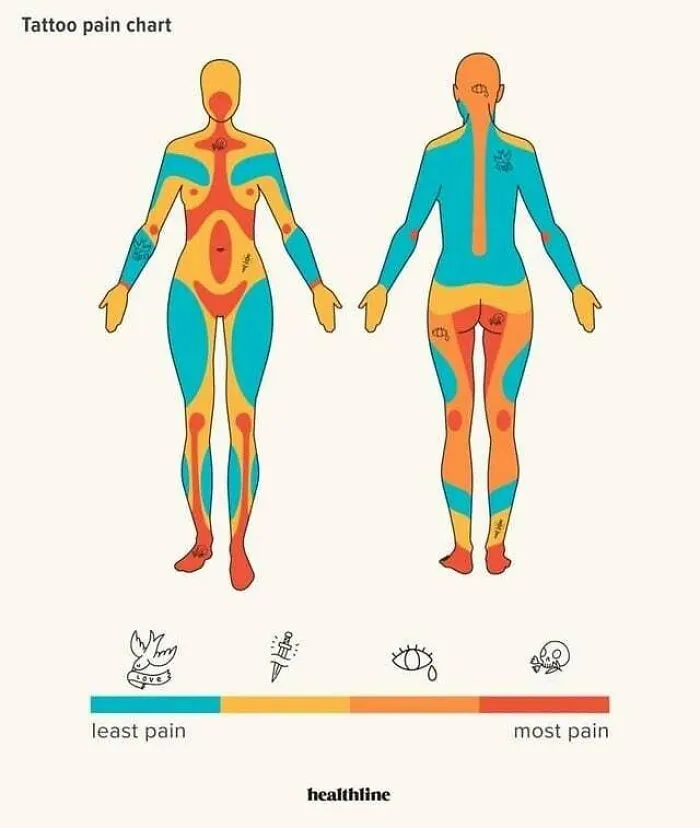 52 Clever Visual Guides That Make You Feel Smarter In Minutes