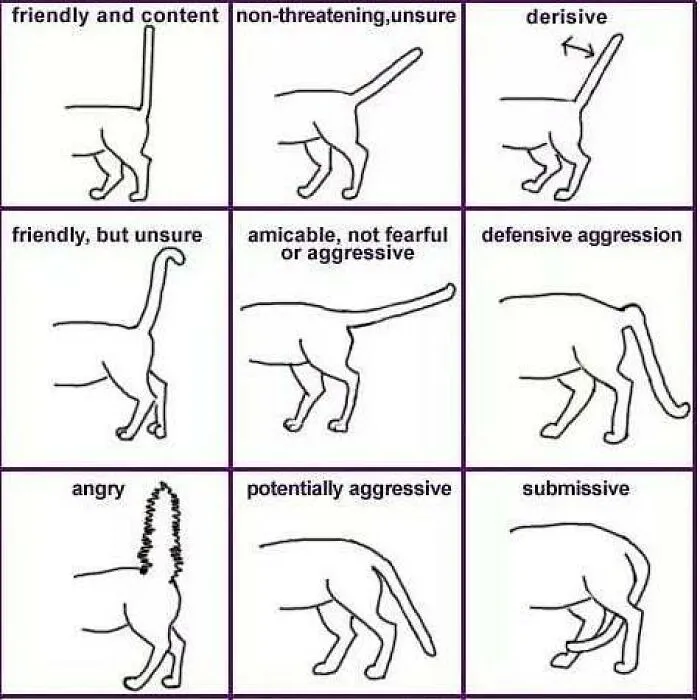 52 Clever Visual Guides That Make You Feel Smarter In Minutes