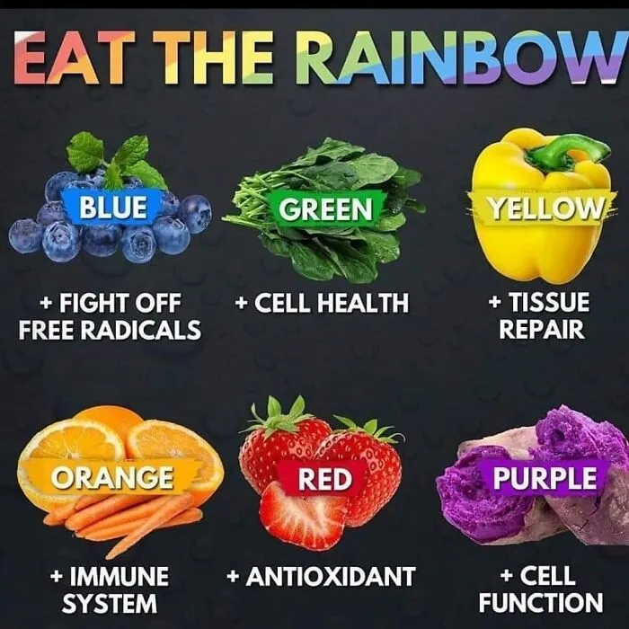 52 Clever Visual Guides That Make You Feel Smarter In Minutes