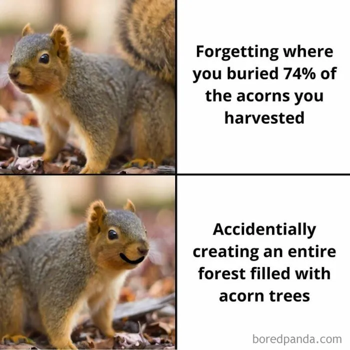64 Random Silly Memes That Might Bring A Smile To Anyone Feeling Overwhelmed Today