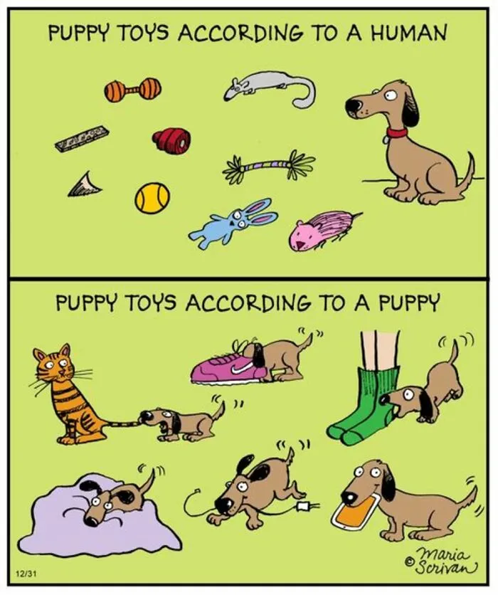 This Cartoonist Turns Everyday Dog Behavior Into Hilarious Comics (42 Pics)