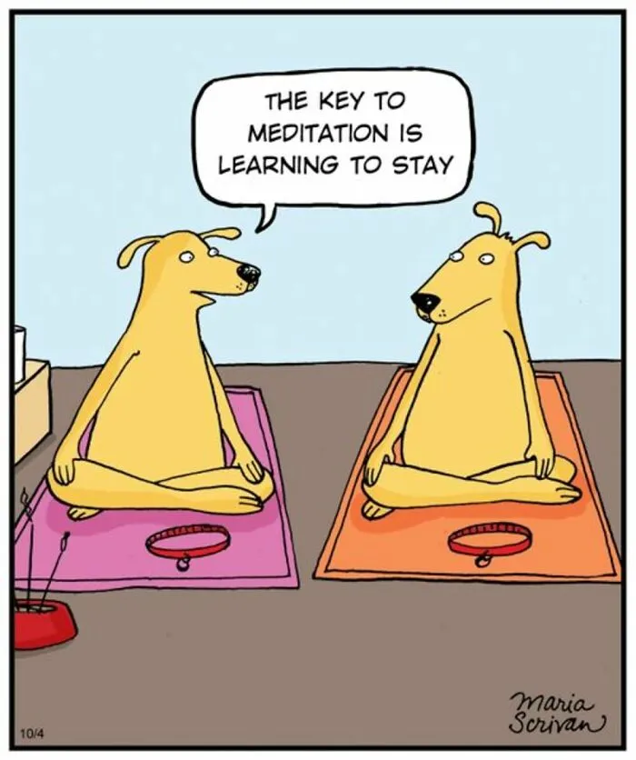 This Cartoonist Turns Everyday Dog Behavior Into Hilarious Comics (42 Pics)