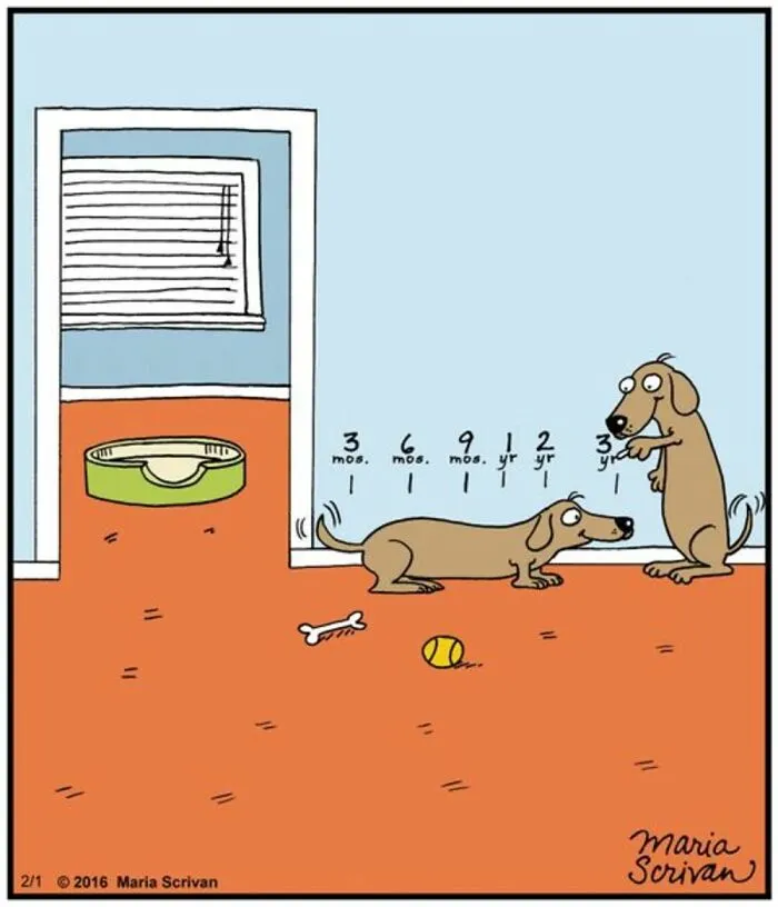 This Cartoonist Turns Everyday Dog Behavior Into Hilarious Comics (42 Pics)