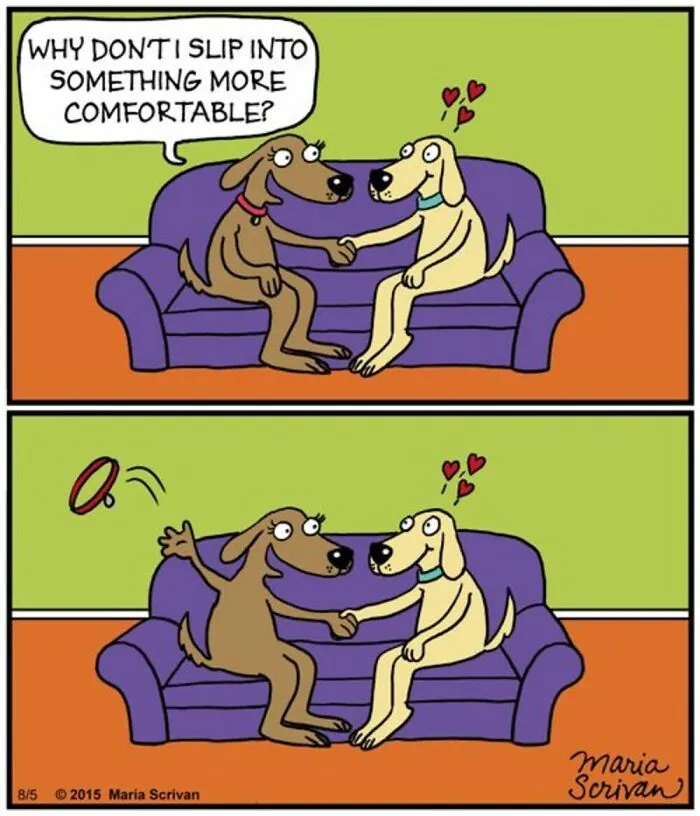 This Cartoonist Turns Everyday Dog Behavior Into Hilarious Comics (42 Pics)