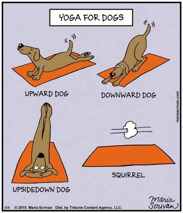 This Cartoonist Turns Everyday Dog Behavior Into Hilarious Comics (42 Pics)