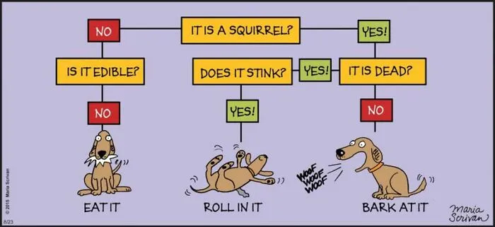 This Cartoonist Turns Everyday Dog Behavior Into Hilarious Comics (42 Pics)