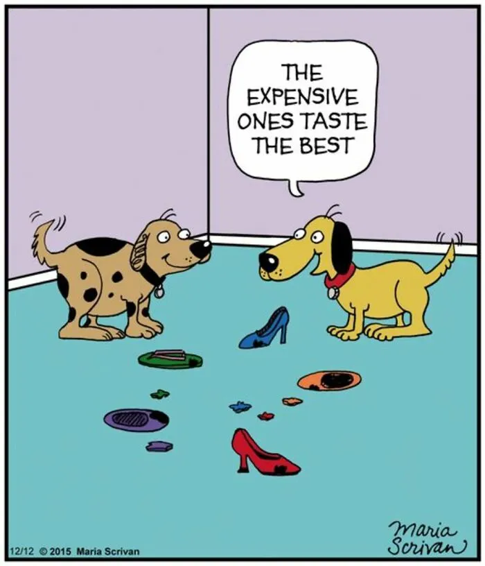 This Cartoonist Turns Everyday Dog Behavior Into Hilarious Comics (42 Pics)